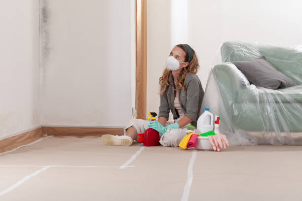 Reliable Mold Inspection And Testing contractor in Mebane, NC by Mold Remediation HQ